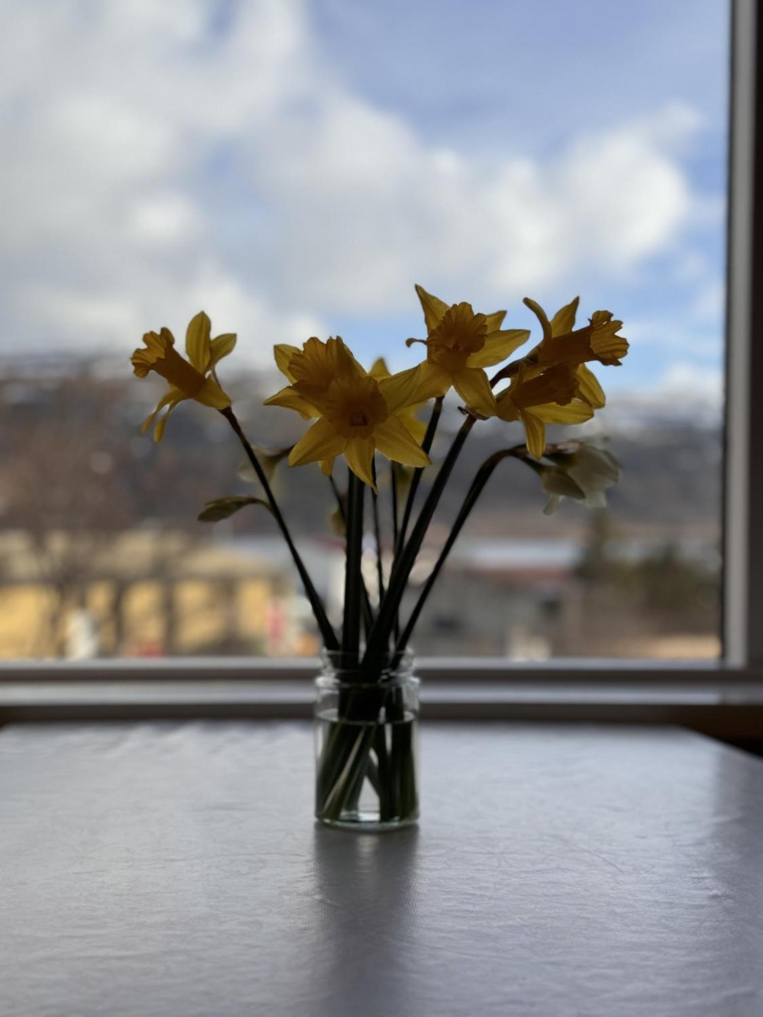 Guesthouse Talknafjoerthur Экстерьер фото